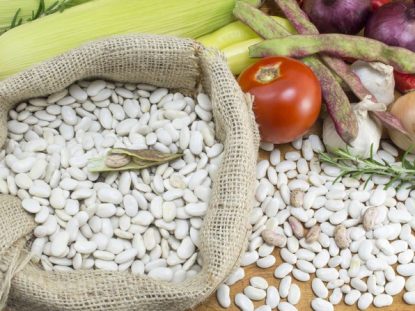 white beans benefits