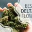 Why are Delta 8 pre-rolls gaining so much attention?
